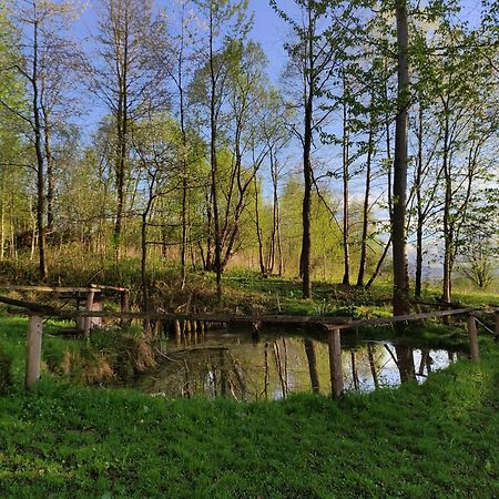 Agroturystyka Zielona Dolinka Stryszow ภายนอก รูปภาพ