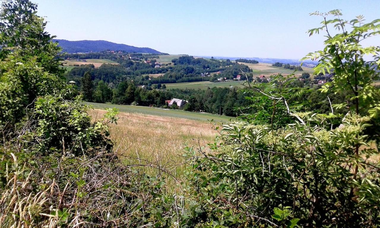 Agroturystyka Zielona Dolinka Stryszow ภายนอก รูปภาพ