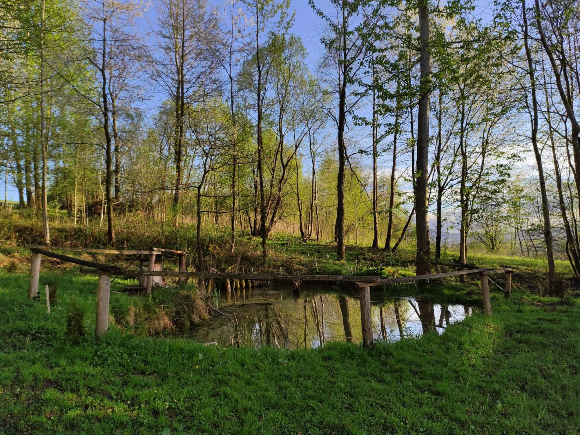 Agroturystyka Zielona Dolinka Stryszow ภายนอก รูปภาพ